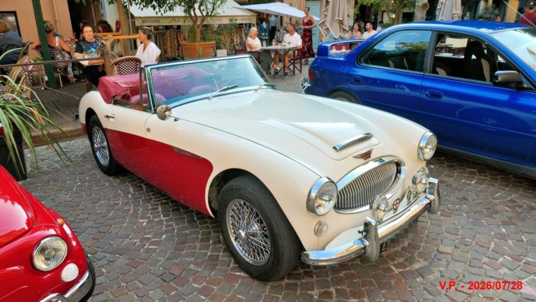 Austin healey photo 1