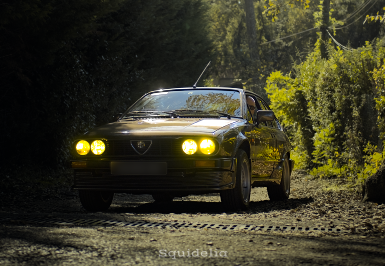 Alfa Romeo Alfetta Gtv photo 10